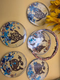 Coaster with Sea Theme